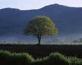 Încercarea de a înțelege cauzele principale ale depresiei