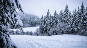 Vremea rece îți declanșează tulburarea de alimentație? Aflați care sunt cauzele și cum să combateți mâncarea din cauza vremii de iarnă. Citeste acest.