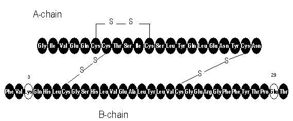 Formula structurală Apidra