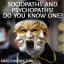 Sociopati și psihopați! Cunoașteți una?
