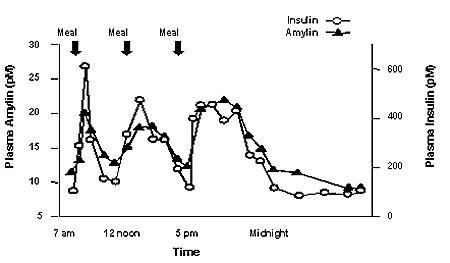 Profilul de secreție a amilinei și insulinei la adulți sănătoși